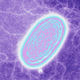 Illustration for article titled Discovery Of Electric Bacteria Hints At The Potential For Alien Life